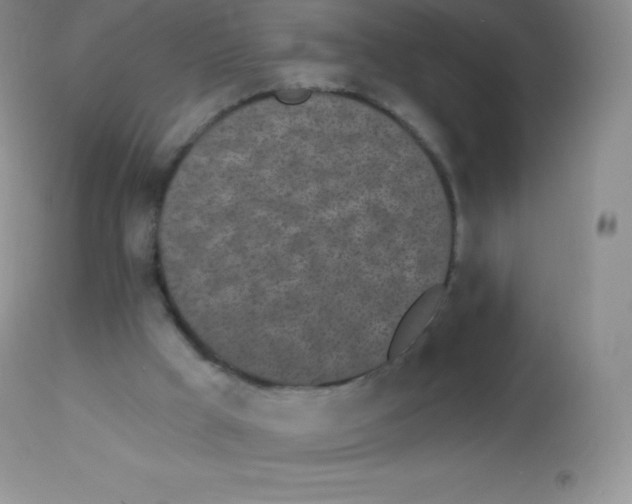 X0000113100009200909182149
