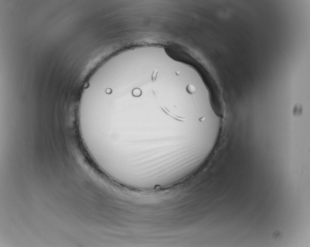 X0000113100010200909182149