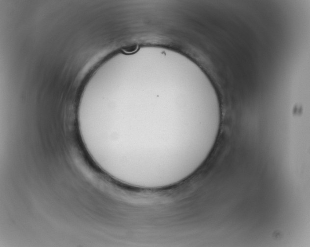 X0000113100012200909182149