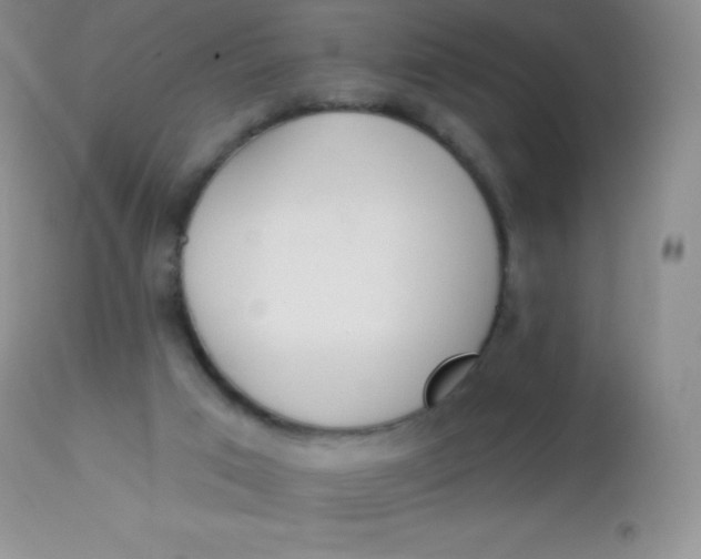 X0000113100017200909182148