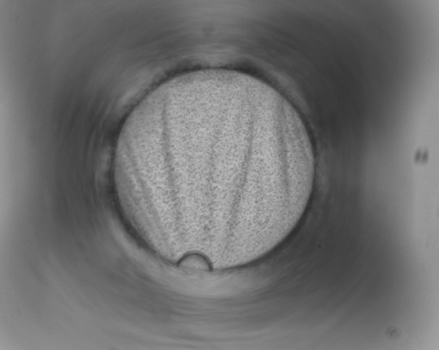 X0000113100018200909182148