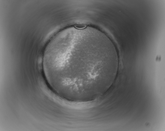 X0000113100019200909182148
