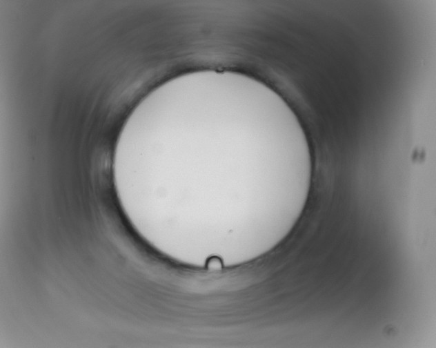X0000113100021200909182148