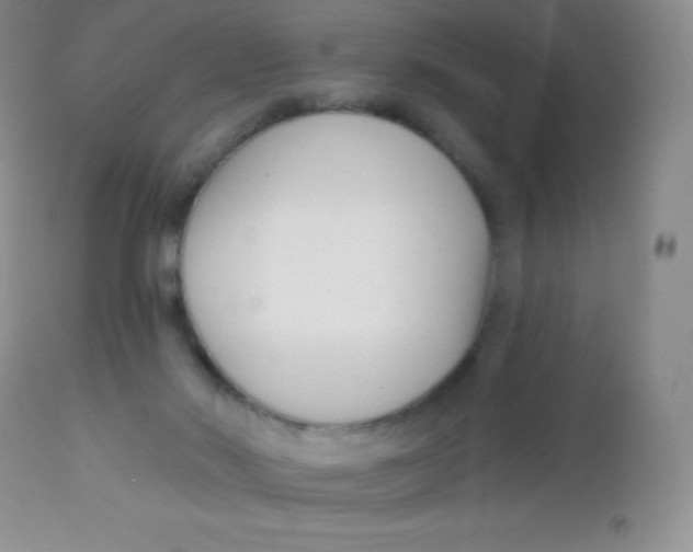 X0000113100022200909182148