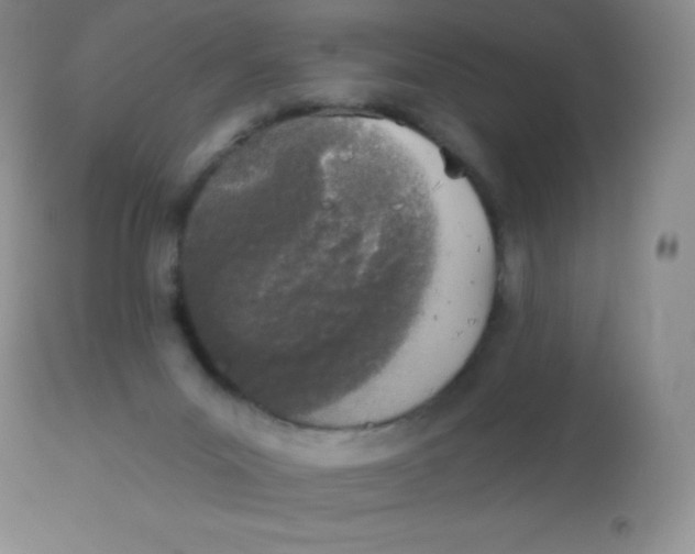 X0000113100023200909182148