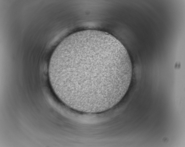 X0000113100024200909182148