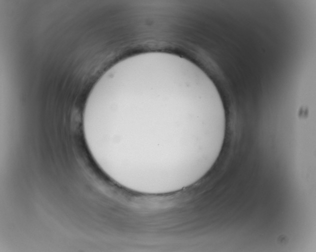 X0000113100025200909182148