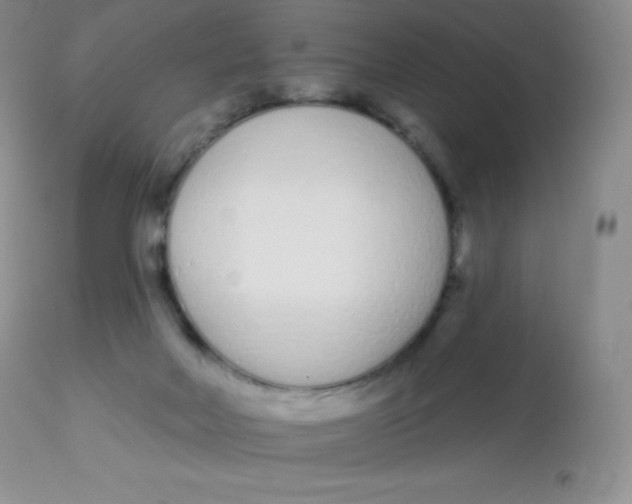 X0000113100026200909182148
