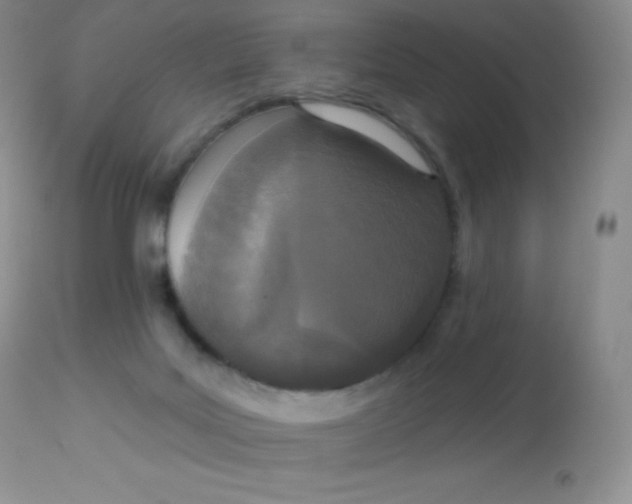 X0000113100027200909182148