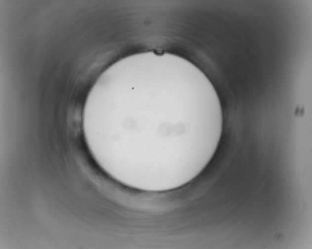 X0000113100028200909182148