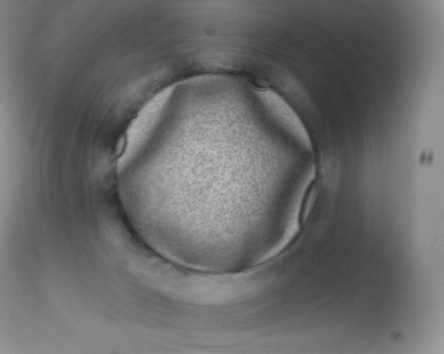 X0000113100029200909182148