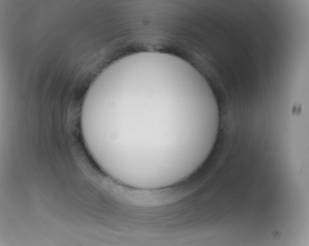 X0000113100030200909182148
