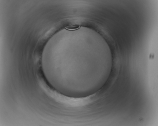 X0000113100031200909182148