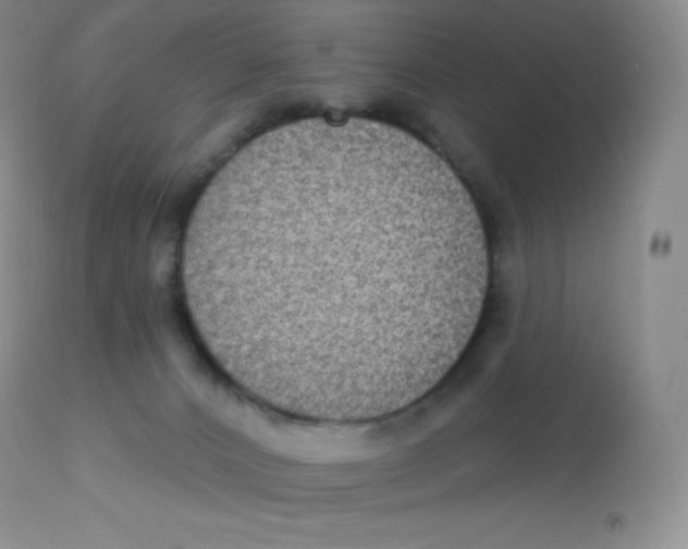 X0000113100032200909182148