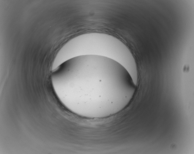 X0000113100033200909182148