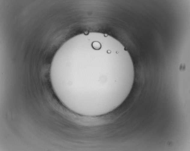 X0000113100034200909182148