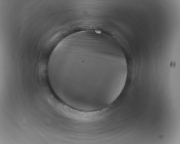 X0000113100035200909182148