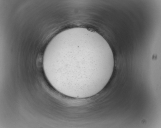 X0000113100036200909182148