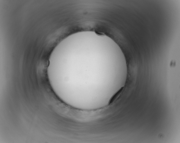 X0000113100037200909182148