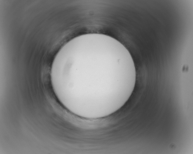 X0000113100038200909182148