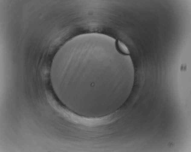X0000113100039200909182148