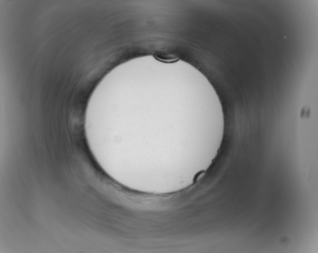 X0000113100040200909182148