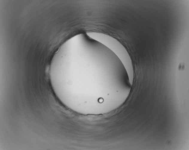 X0000113100041200909182148