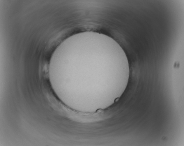 X0000113100042200909182148