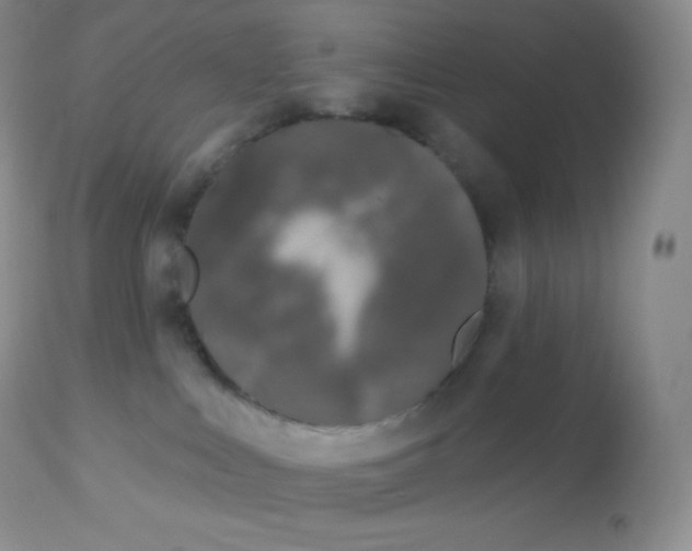X0000113100043200909182148