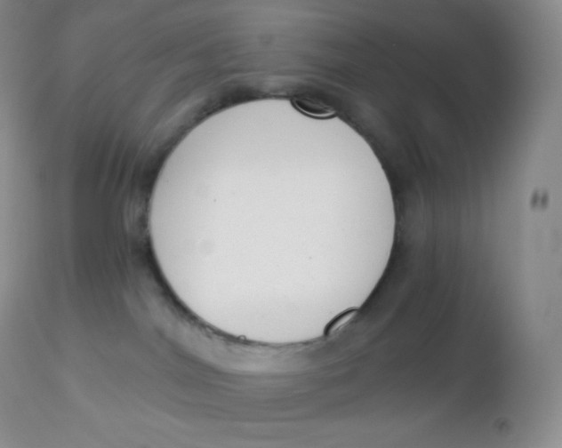 X0000113100044200909182148