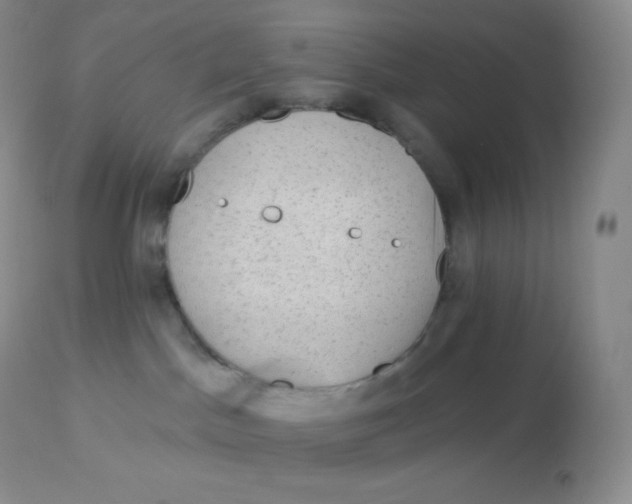 X0000113100045200909182148