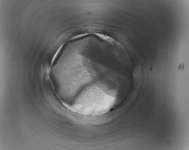 X0000113100046200909182148