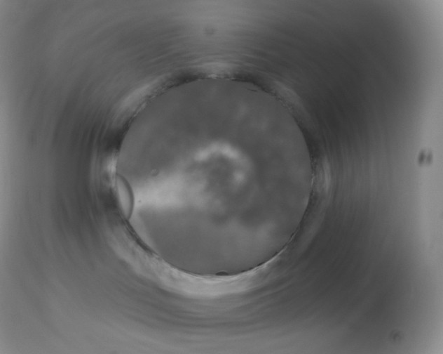 X0000113100047200909182148