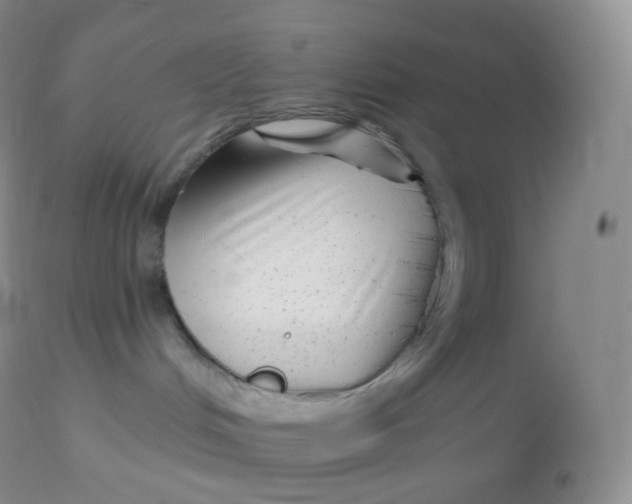 X0000113100048200909182148
