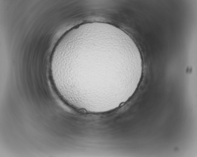 X0000113100049200909182147