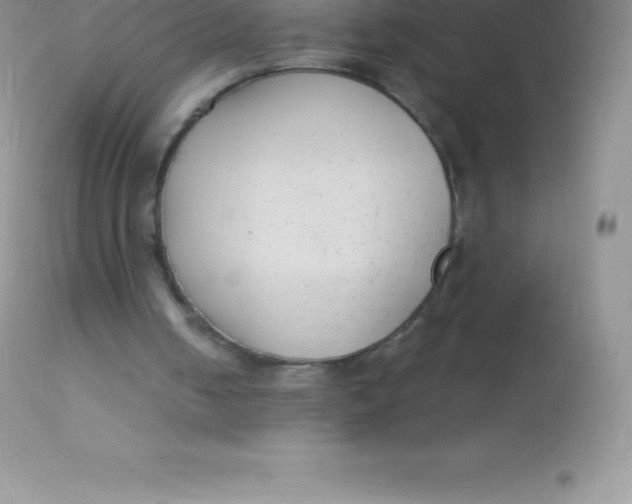 X0000113100050200909182147