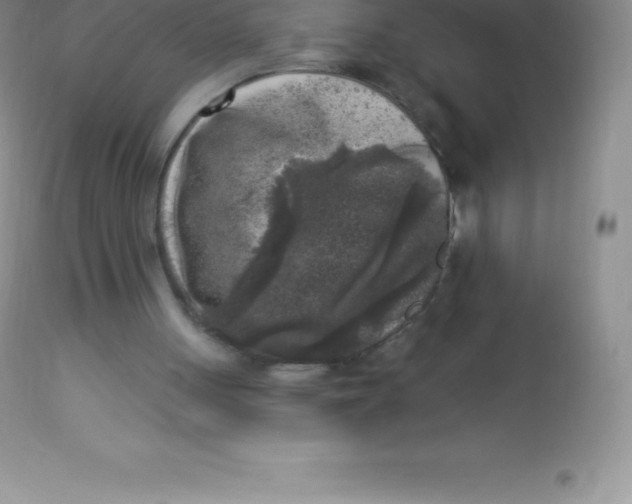 X0000113100051200909182147