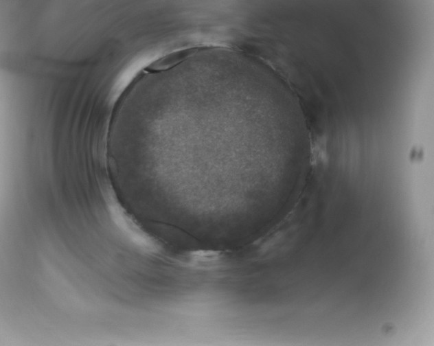 X0000113100052200909182147
