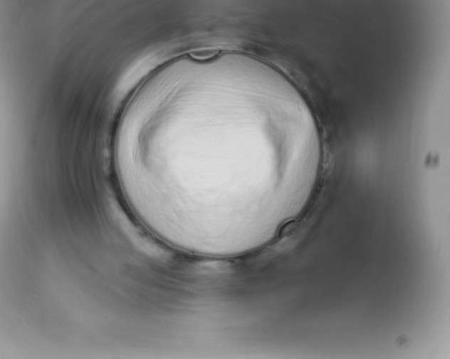 X0000113100053200909182147
