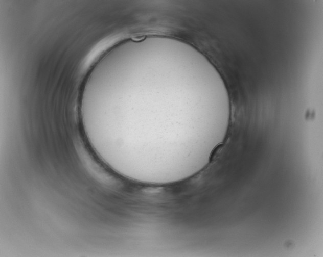 X0000113100054200909182147