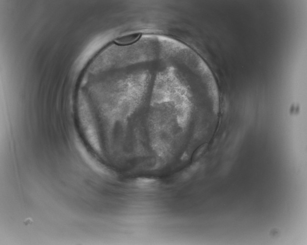X0000113100055200909182147