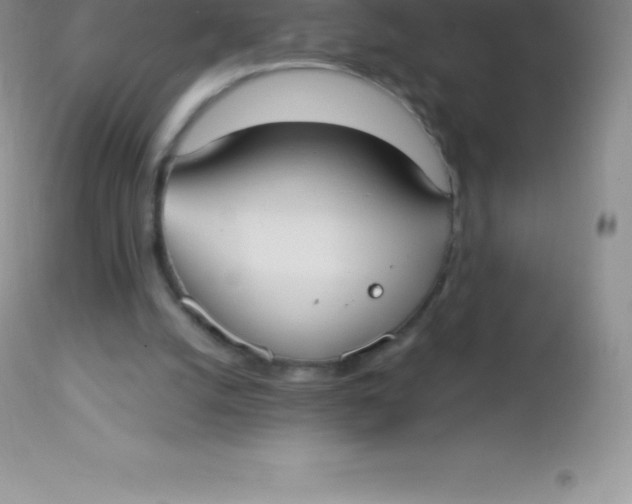 X0000113100056200909182147