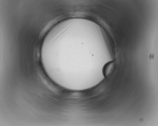 X0000113100059200909182147