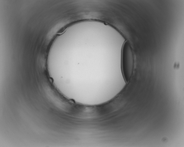 X0000113100060200909182147