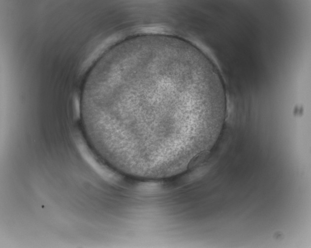 X0000113100061200909182147