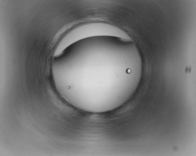 X0000113100064200909182147