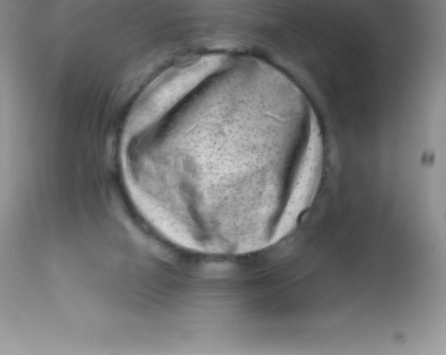 X0000113100066200909182147