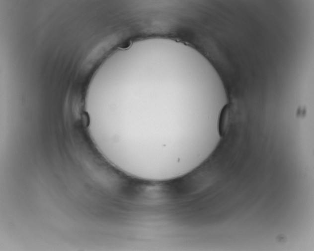 X0000113100068200909182148