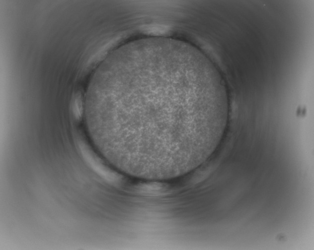 X0000113100069200909182148