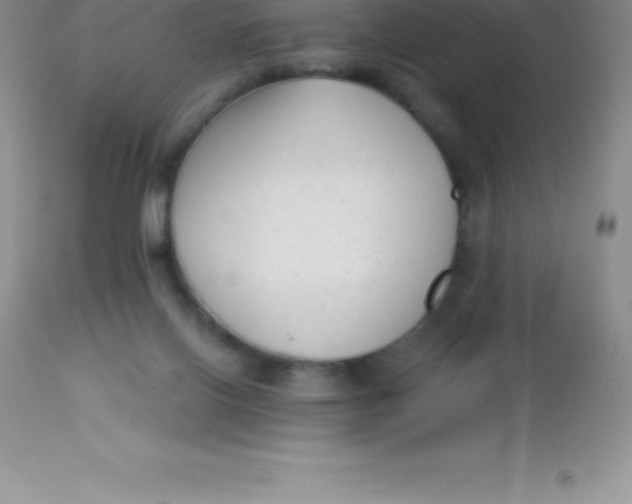X0000113100070200909182148